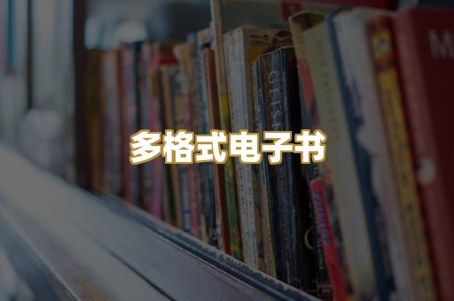 多格式电子书